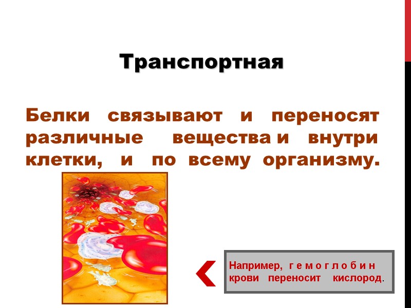 Транспортная Белки   связывают   и   переносят  различные 